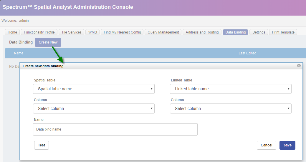 Using Databinding in Spectrum Spatial Analyst