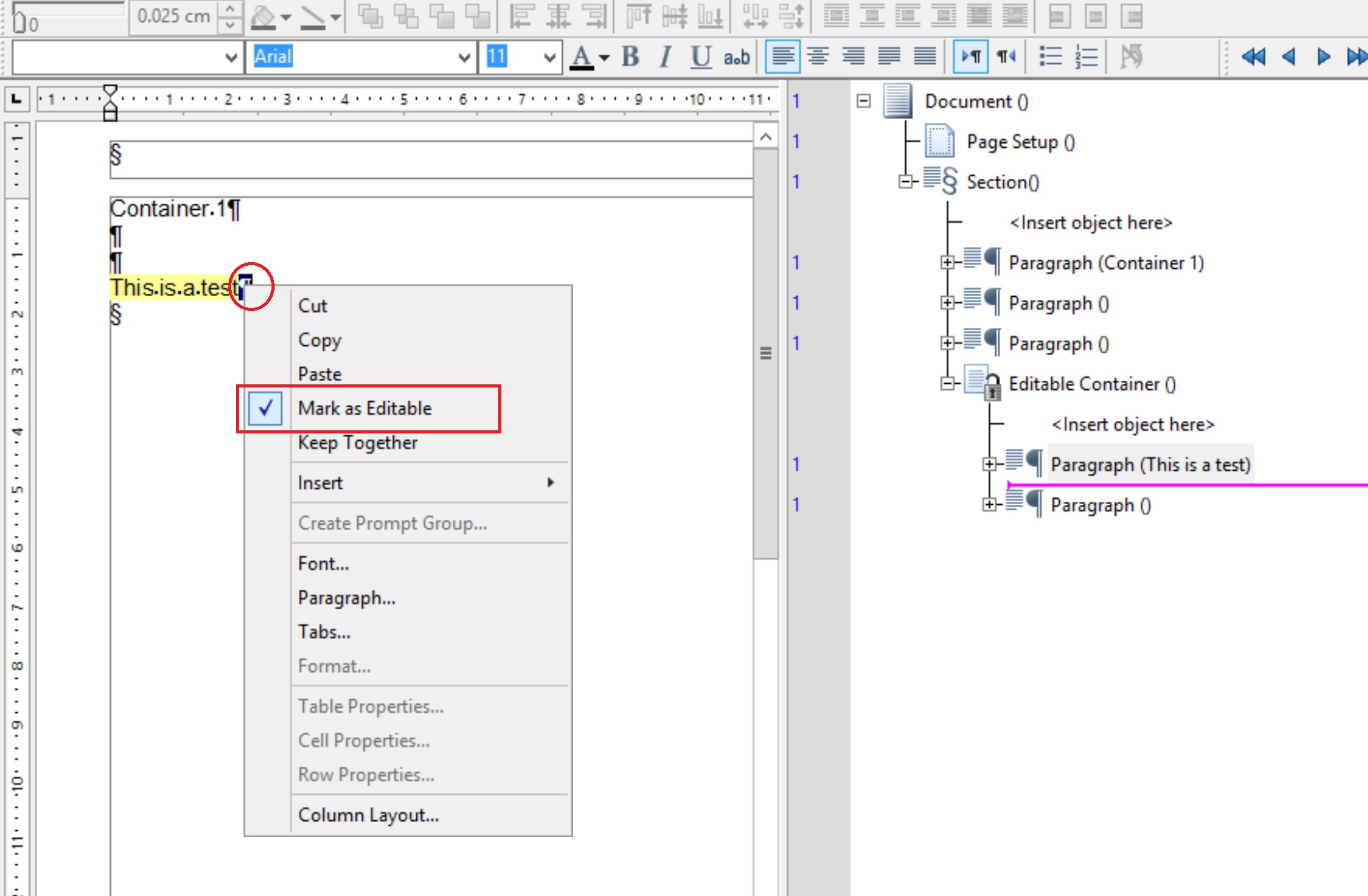 Editable paragraph remains visible when emptied in EngageOne Designer