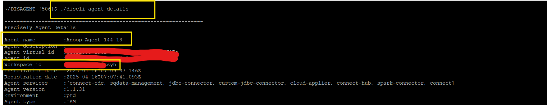 get workspace info and agent name from dis agent host machine