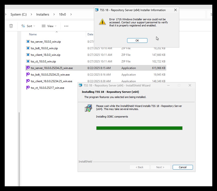 Trillium - Repository Server install fails - Windows - 1719